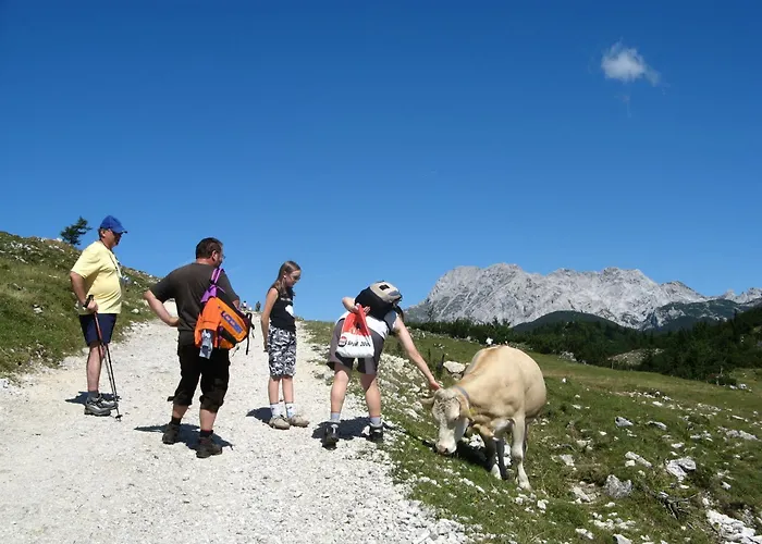 Luxury Chalet & Sauna Kati - Velika Planina - I Feel Alps