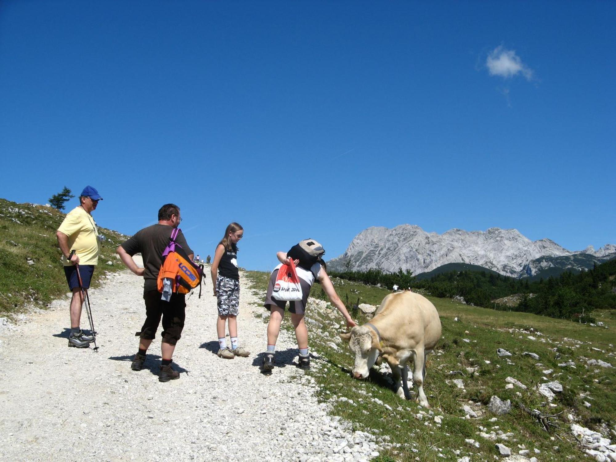 Luxury & Sauna Kati - Velika Planina - I Feel Alps * Stahovica